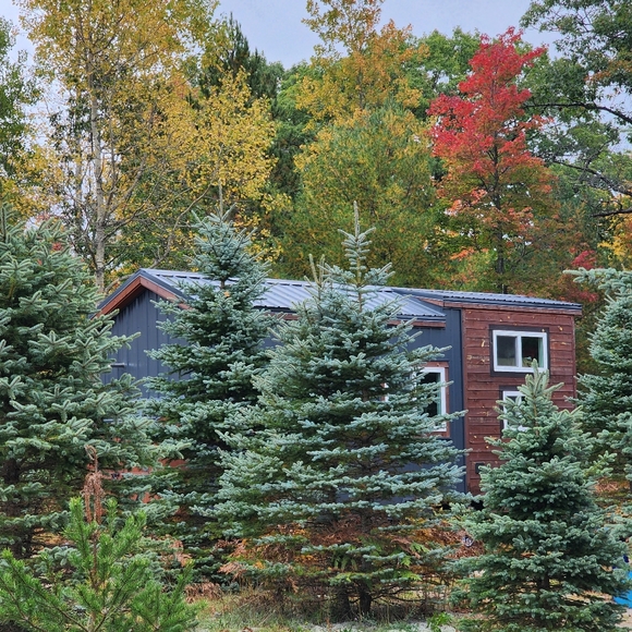 Meet your Posh Ambassador, Ashley♡ ARTIST | CREATOR | BELIEVER OF EVERYDAY MAGIC - Picture 11 of 16